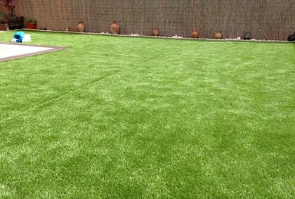 Poda de árboles y setos en lindes. Evita problemas con tus vecinos