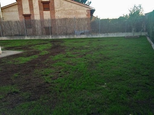 Jardín unifamiliar en Boecillo