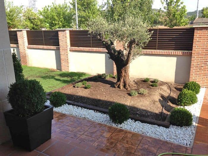 empresa jardineria Valladolid